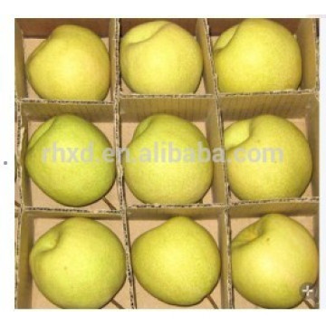 Dangshan su pear/Chinese sweet pear/Shaanxi Gong pear